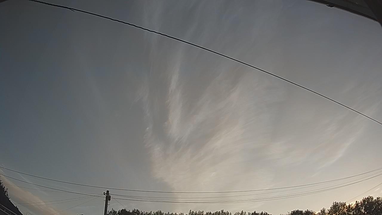 20260809_050833_cam2.jpg