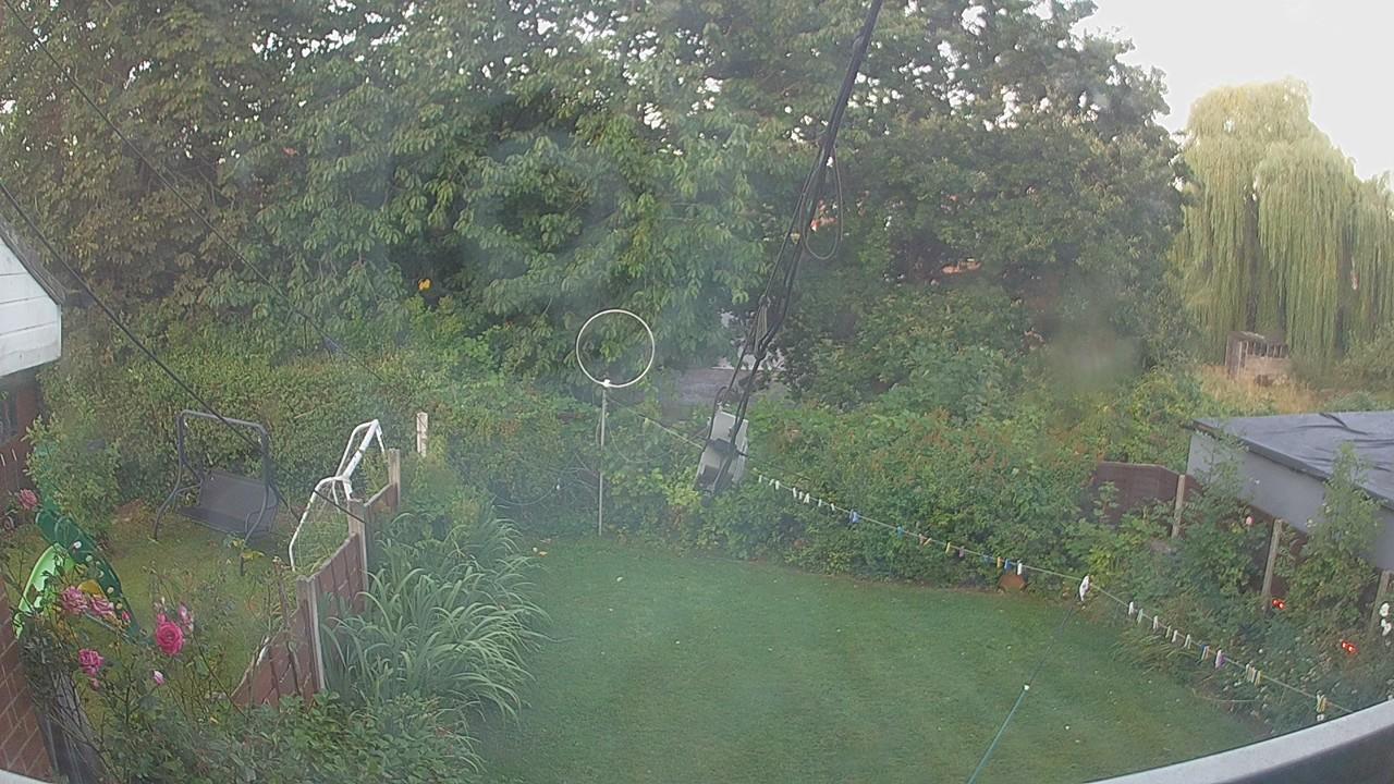 20260809_051308_cam1.jpg