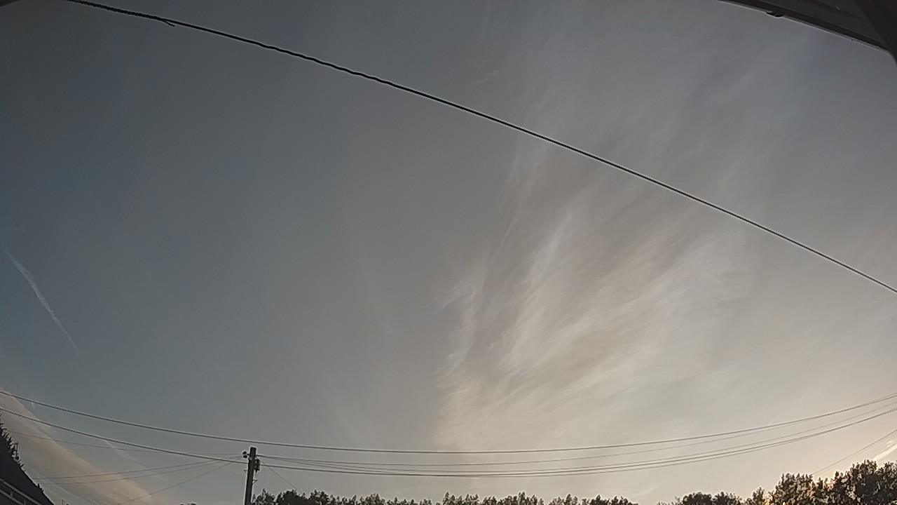 20260809_051309_cam2.jpg