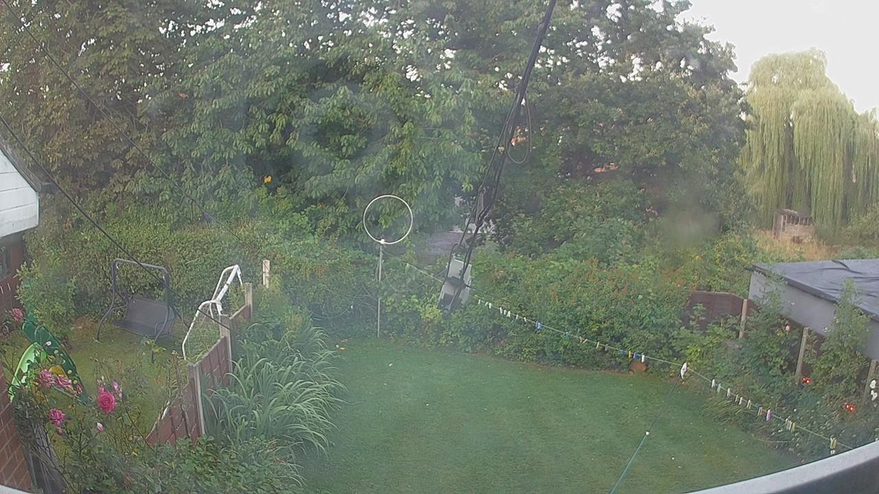 20260809_051744_cam1.jpg