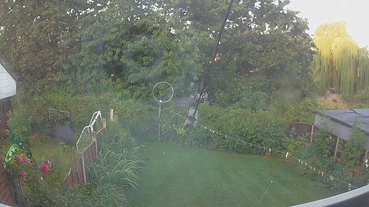 20260809_052220_cam1.jpg