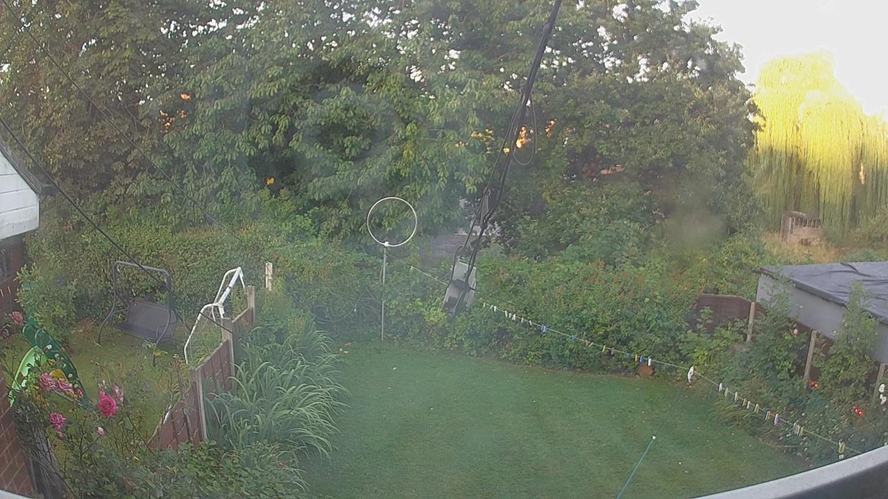 20260809_052657_cam1.jpg