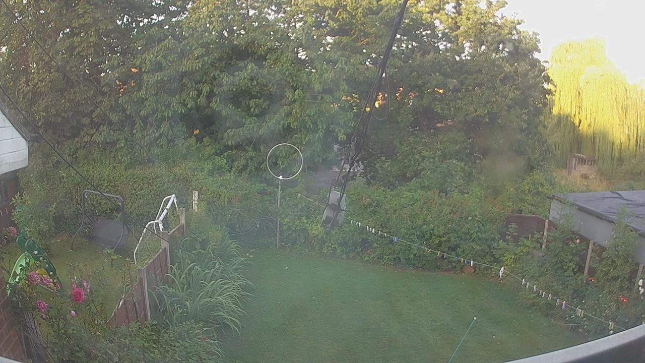 20260809_053151_cam1.jpg