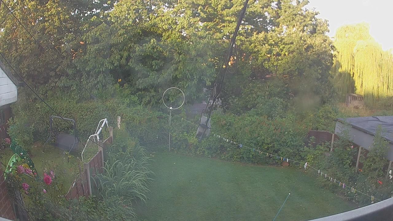 20260809_053645_cam1.jpg