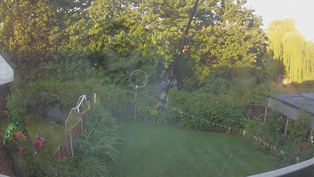 20260809_054140_cam1.jpg