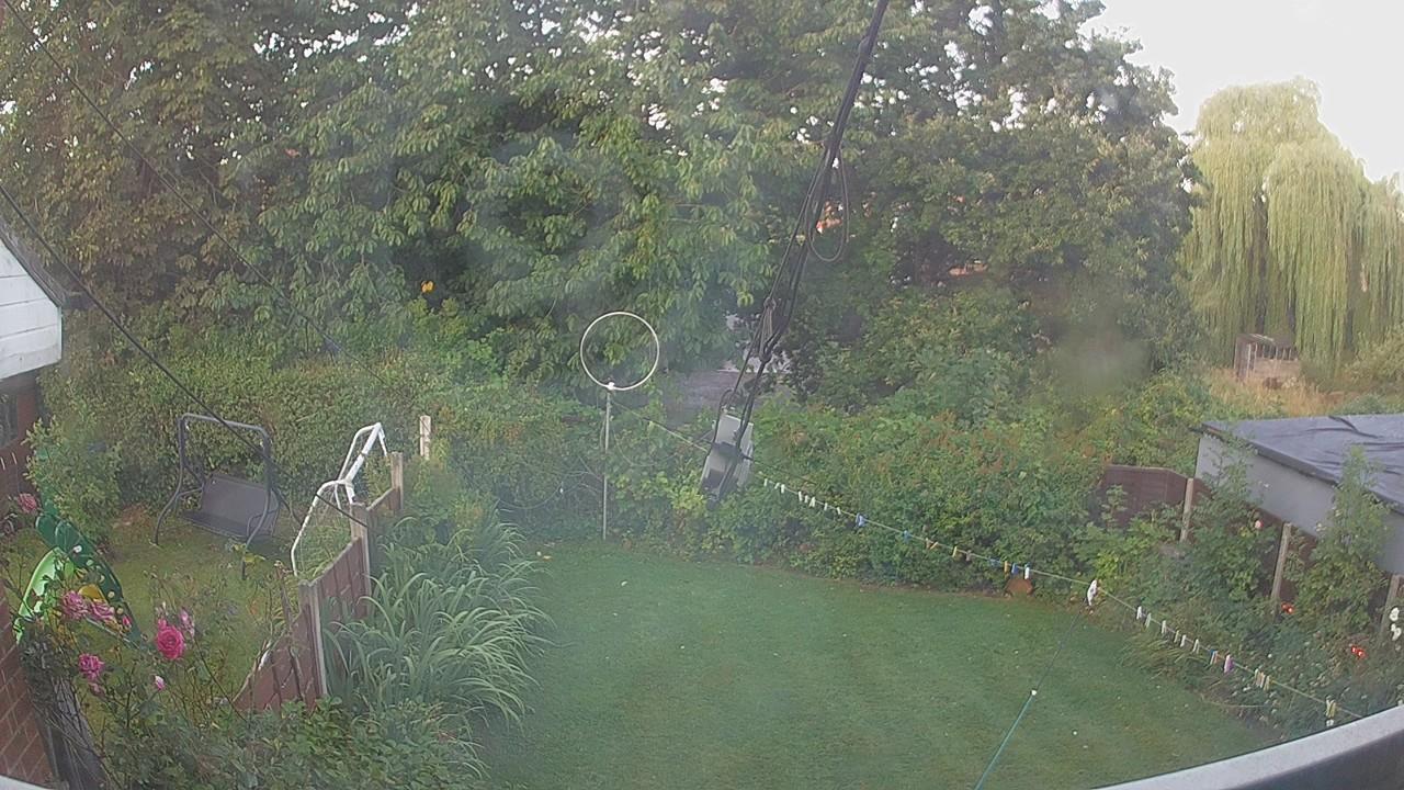 20260809_054634_cam1.jpg