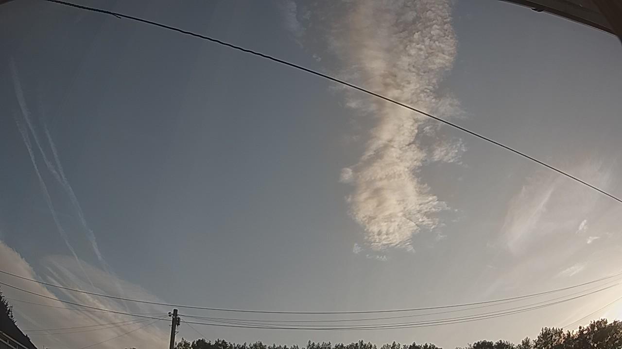 20260809_054635_cam2.jpg