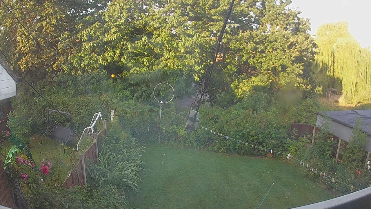 20260809_055129_cam1.jpg