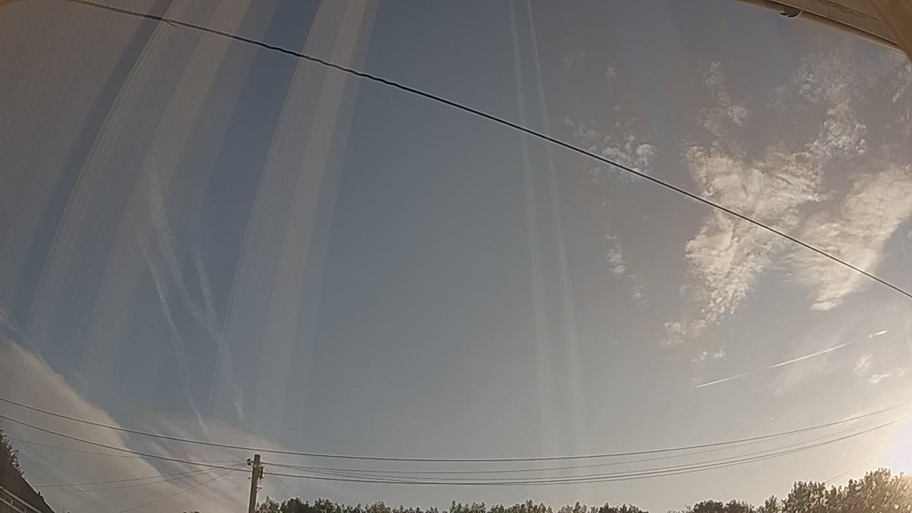 20260809_055130_cam2.jpg