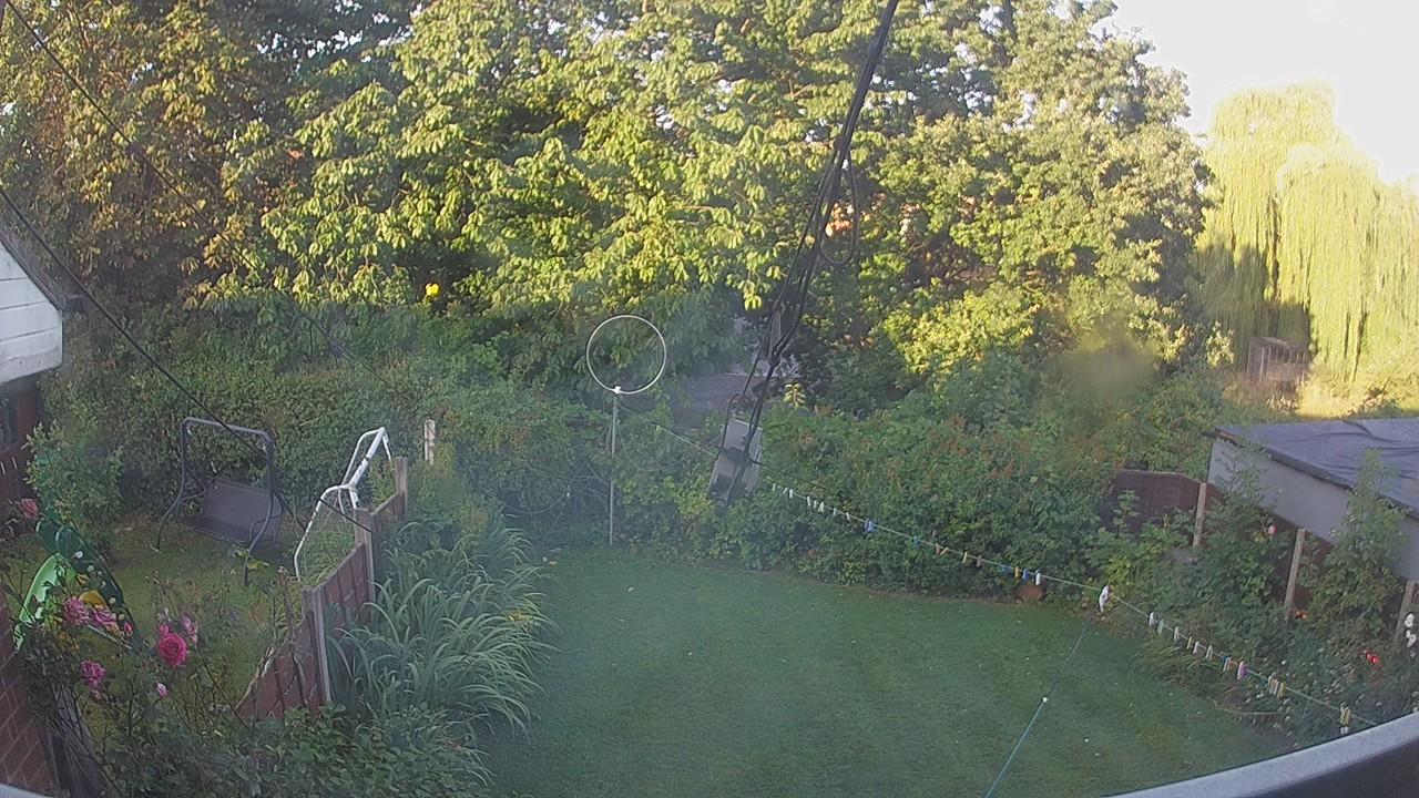 20260809_055623_cam1.jpg
