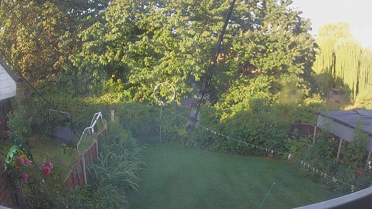 20260809_061411_cam1.jpg