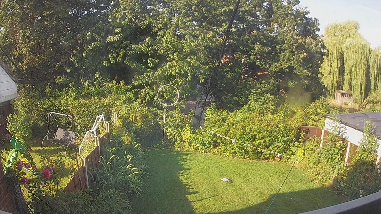 20260809_073934_cam1.jpg