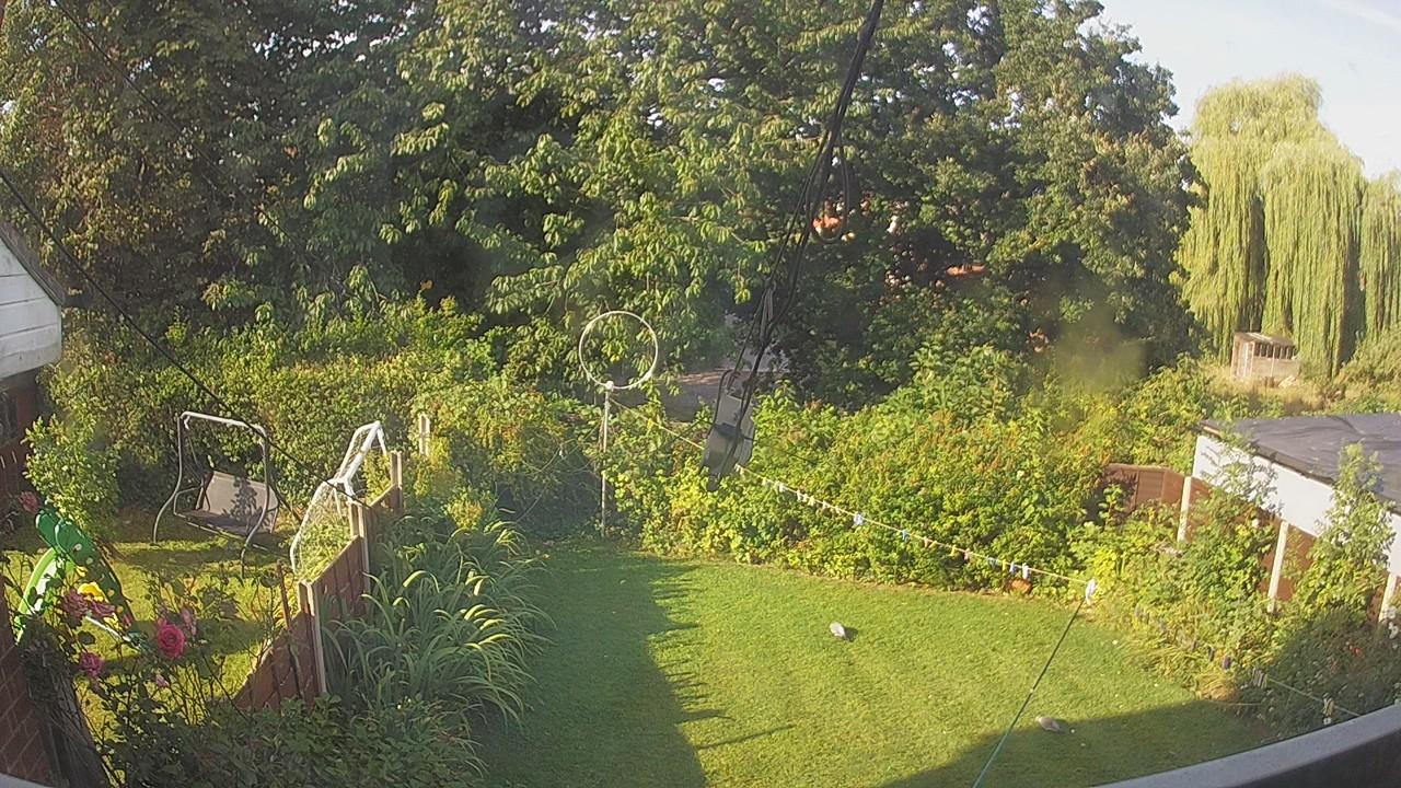 20260809_074401_cam1.jpg