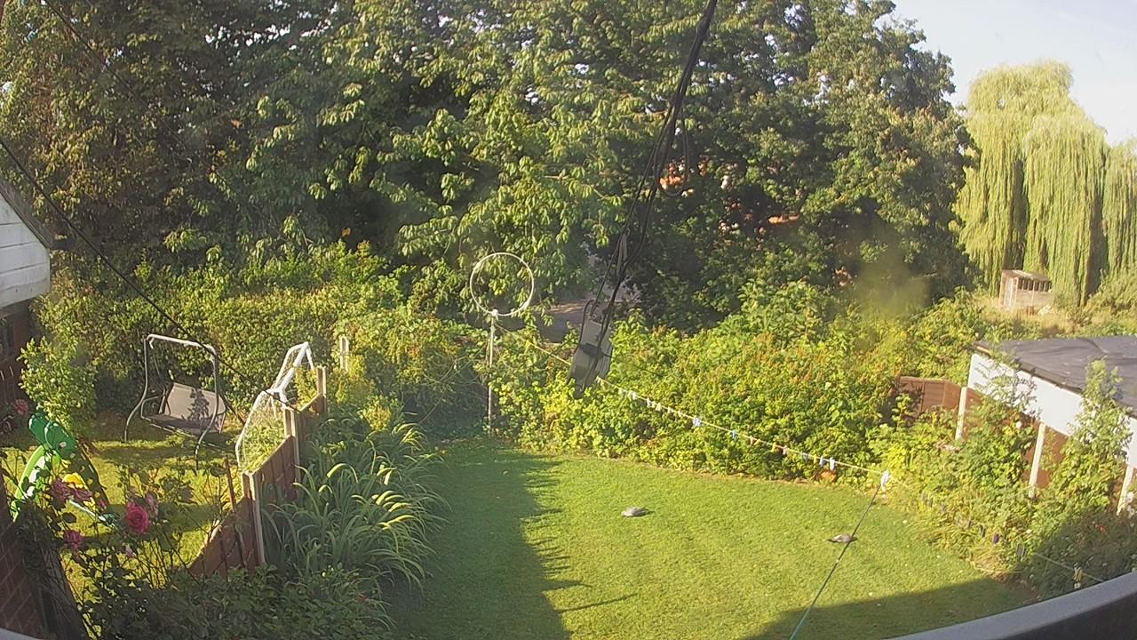 20260809_074829_cam1.jpg
