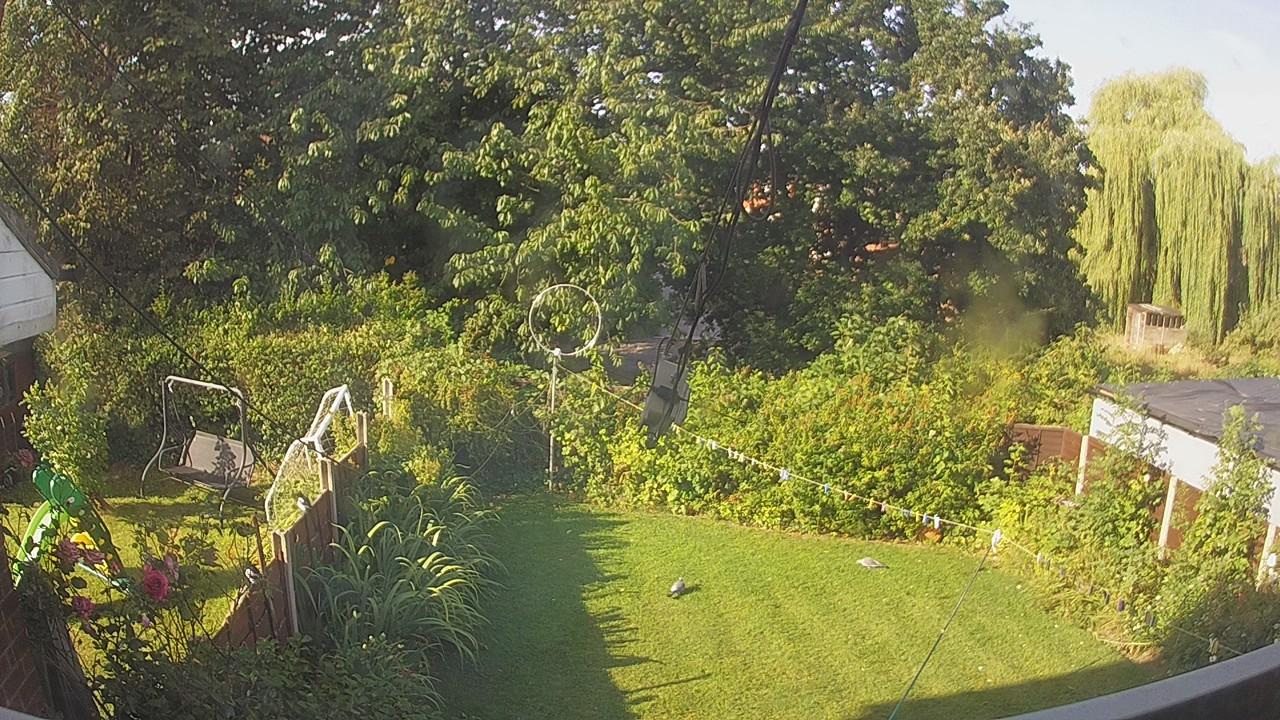 20260809_075256_cam1.jpg