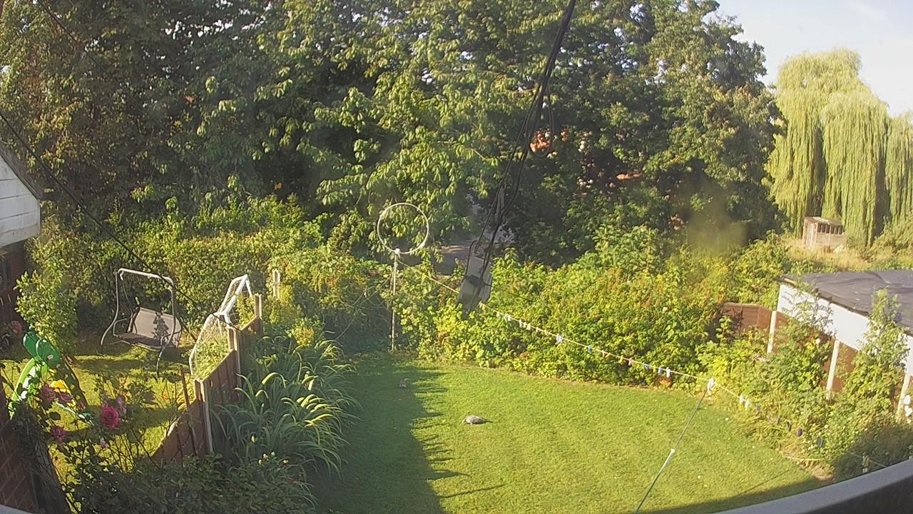 20260809_075724_cam1.jpg