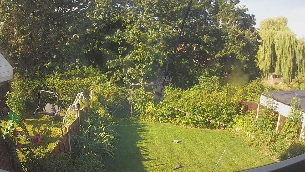 20260809_080143_cam1.jpg