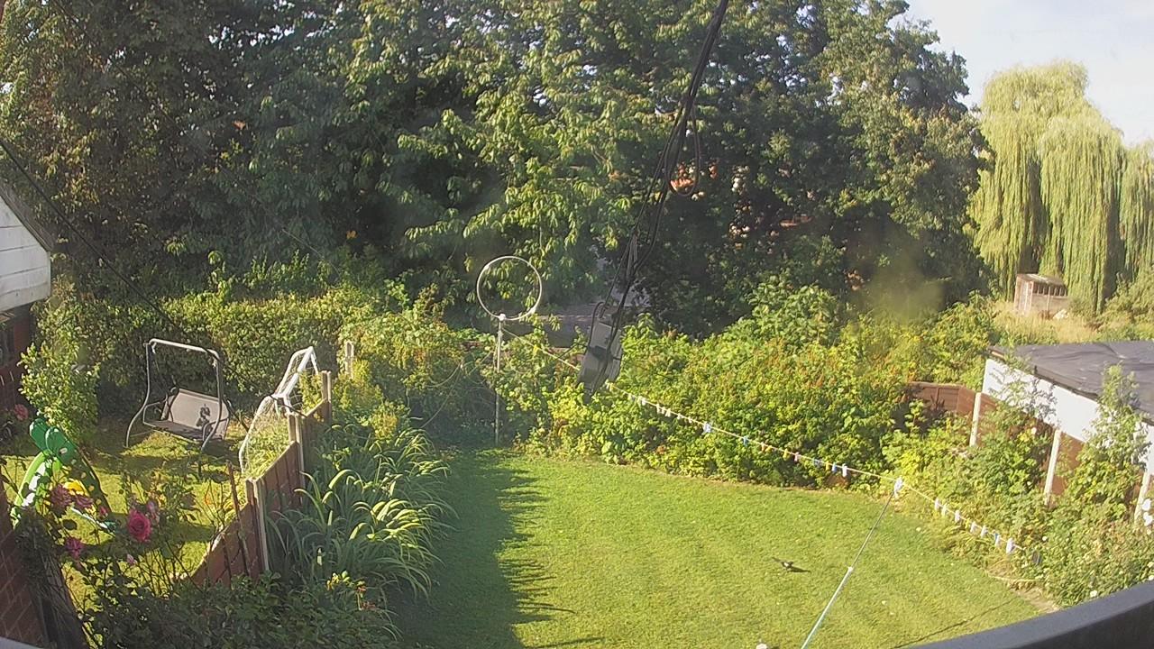 20260809_082315_cam1.jpg
