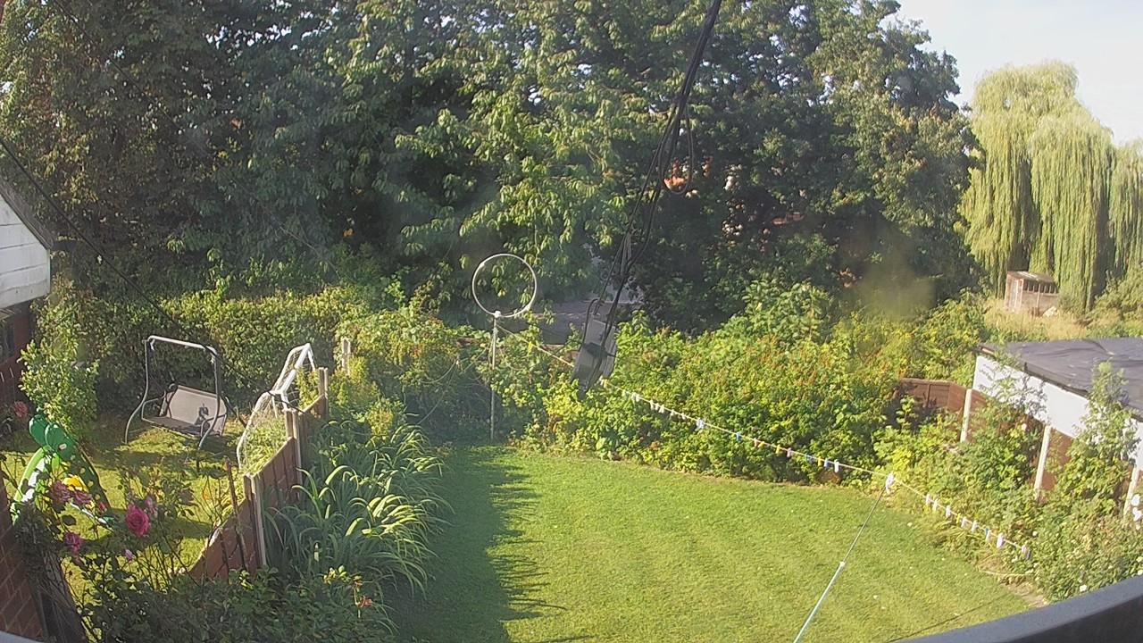 20260809_082733_cam1.jpg