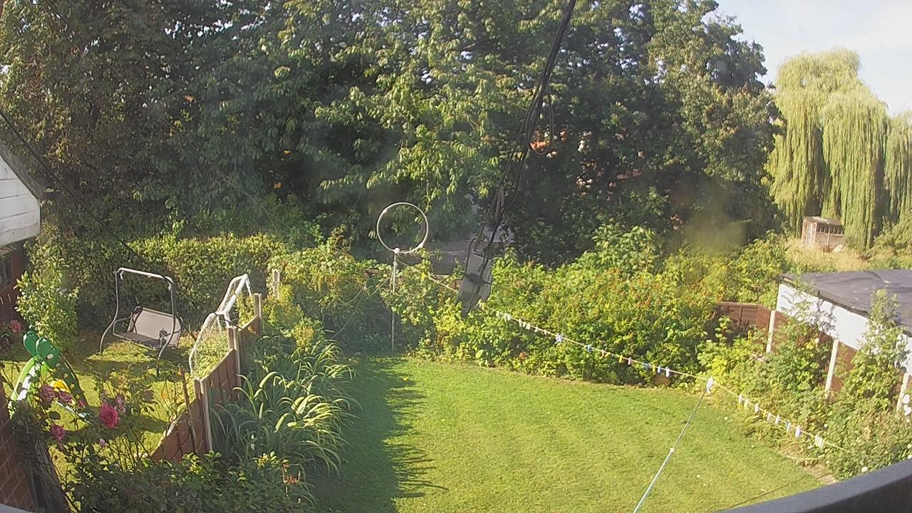 20260809_083610_cam1.jpg