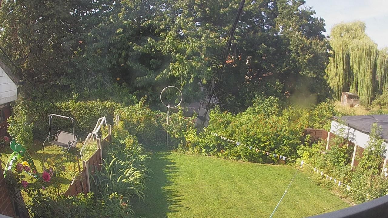 20260809_084028_cam1.jpg