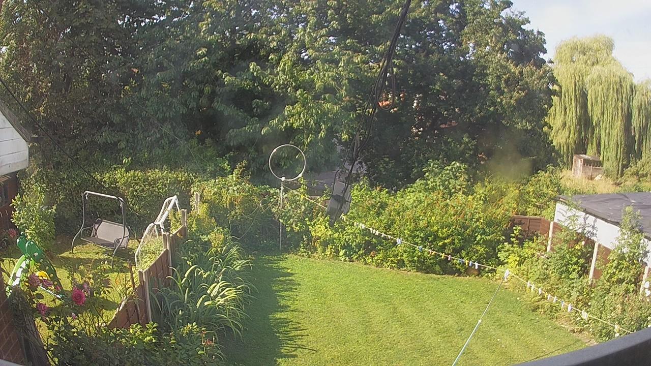 20260809_084446_cam1.jpg