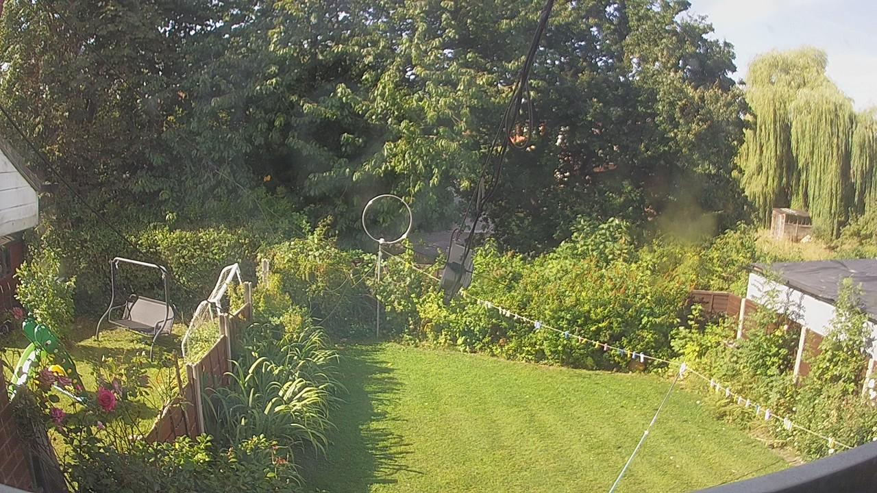 20260809_084904_cam1.jpg