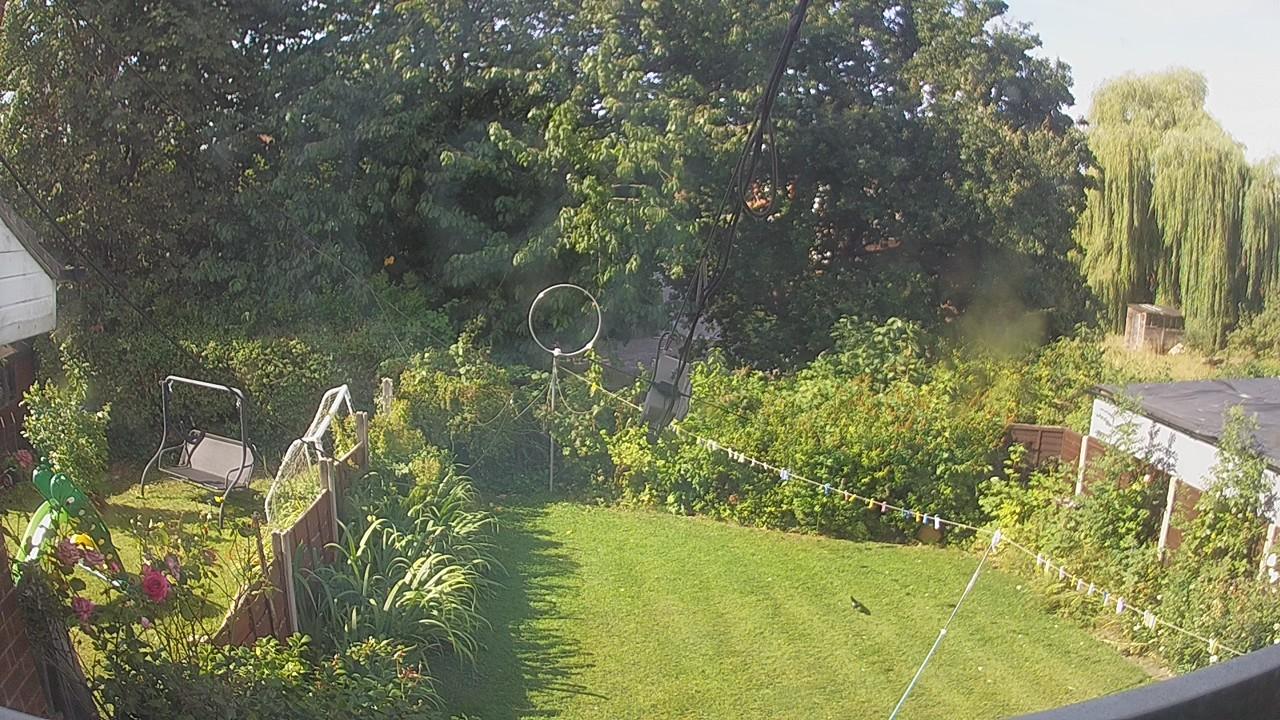 20260809_090616_cam1.jpg