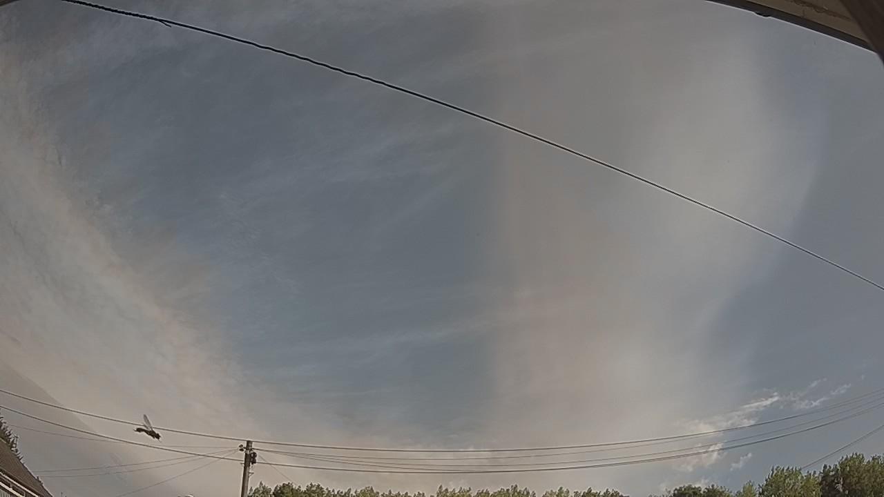 20260809_091910_cam2.jpg