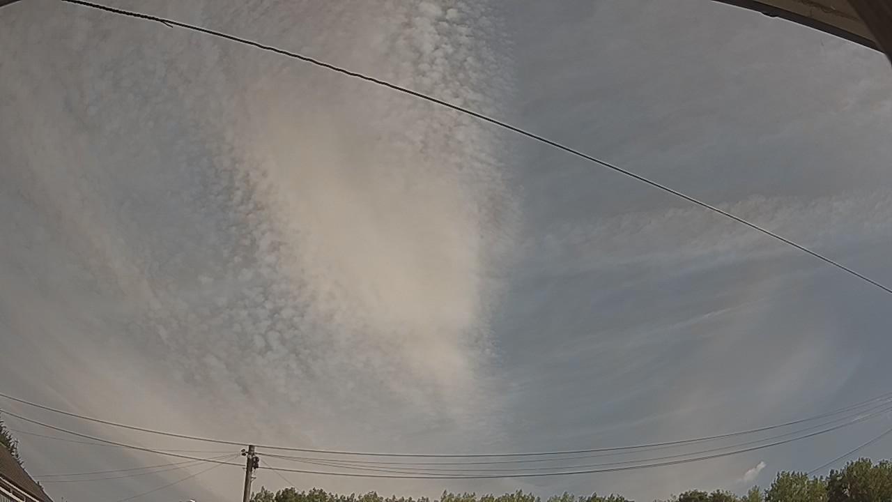 20260809_092746_cam2.jpg