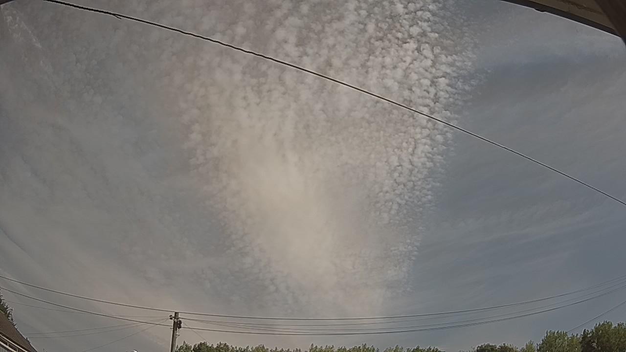 20260809_093221_cam2.jpg