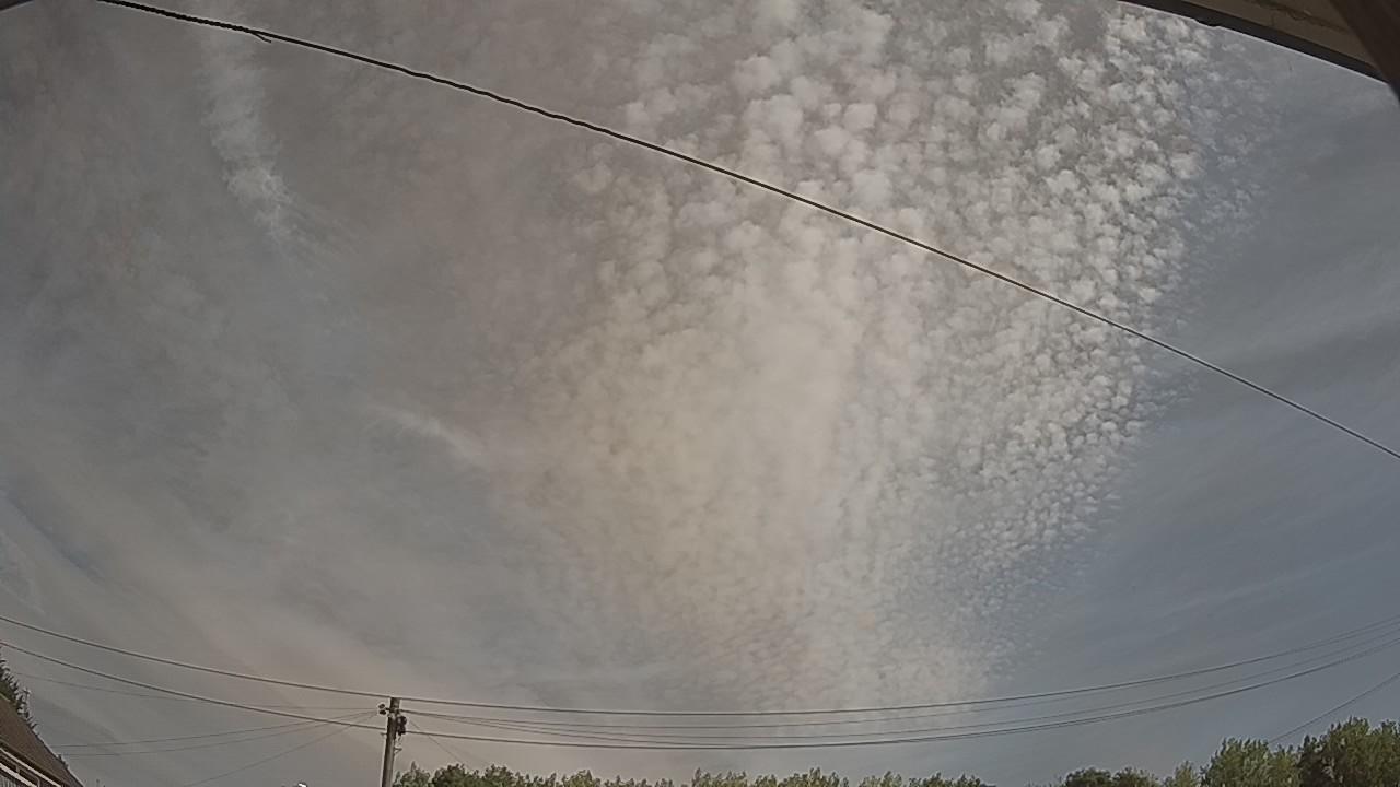 20260809_093656_cam2.jpg