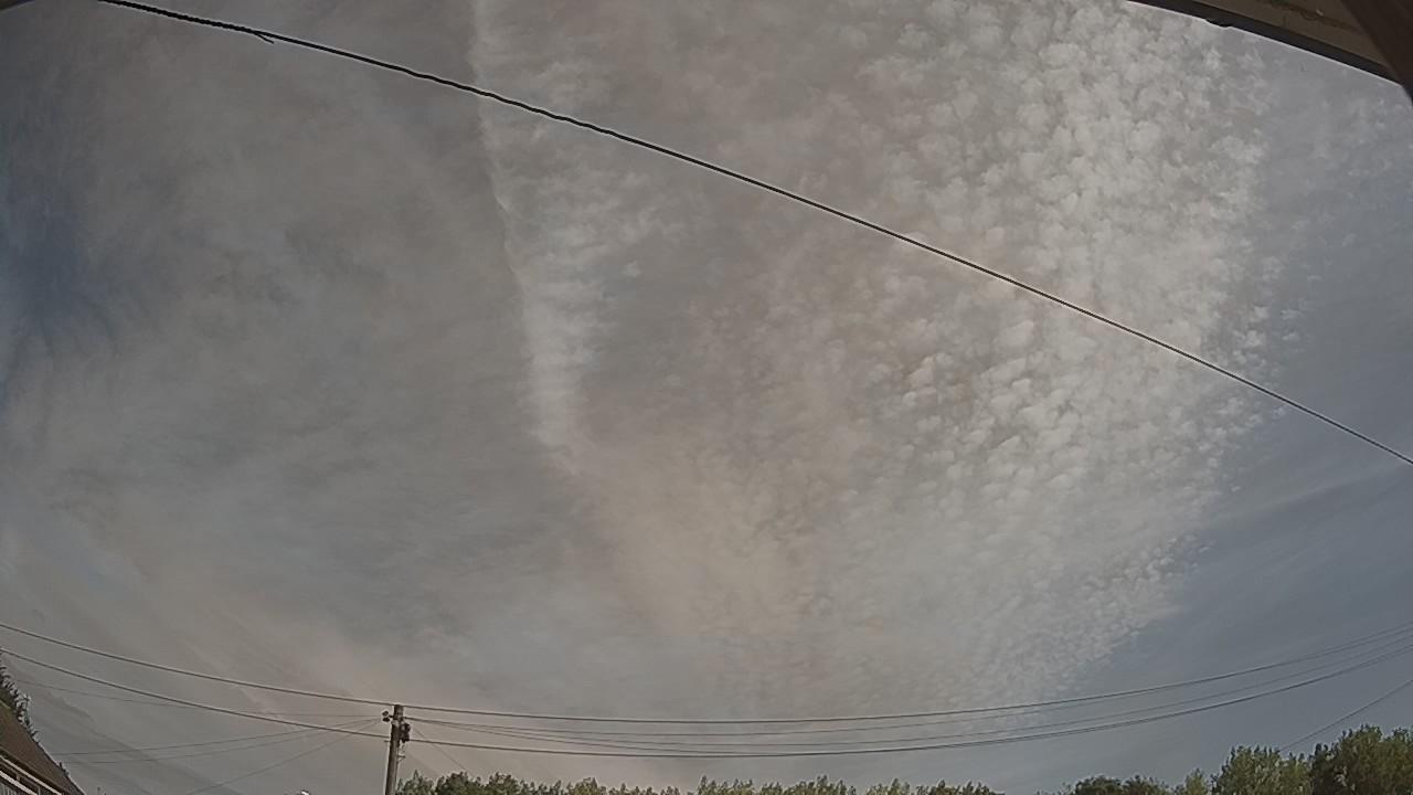 20260809_094133_cam2.jpg