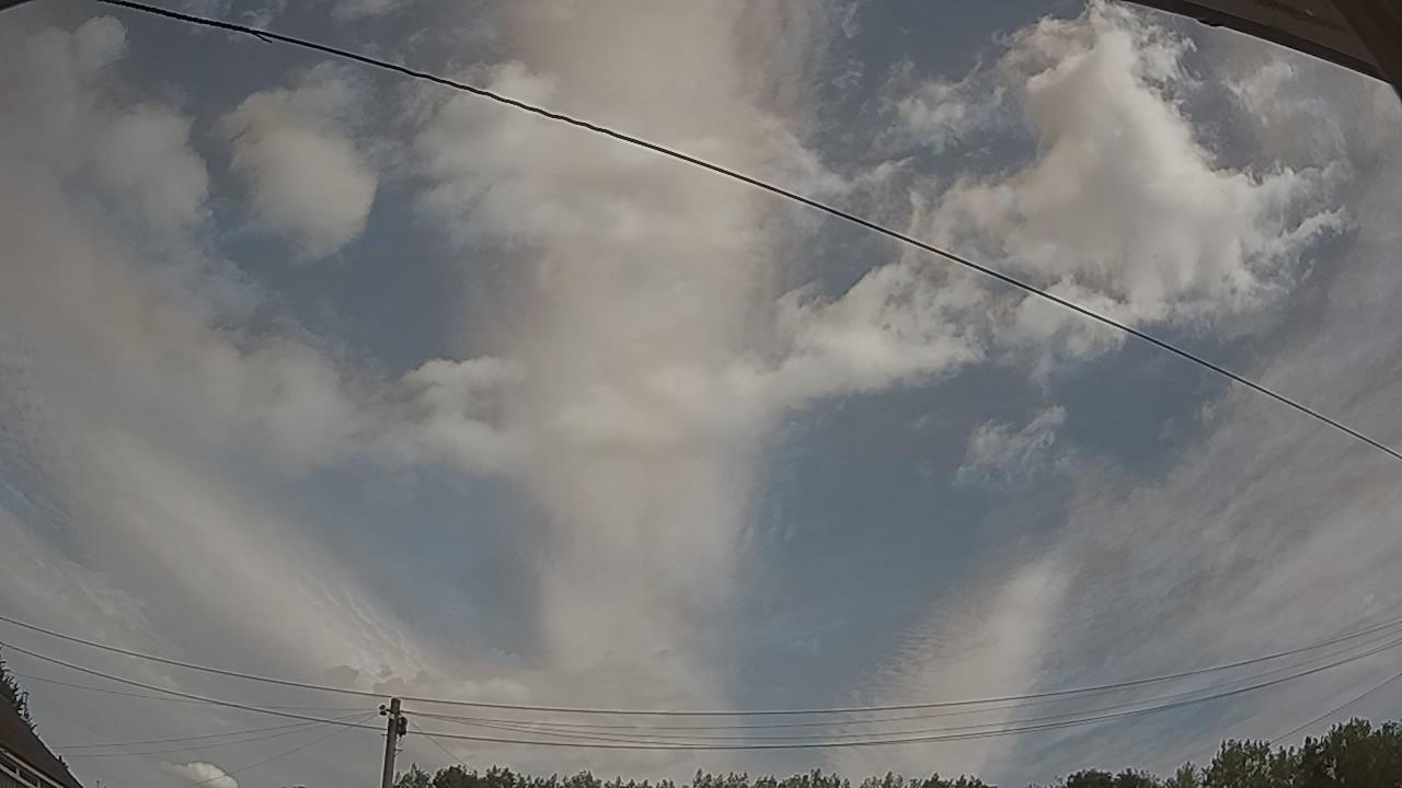 20260809_101343_cam2.jpg