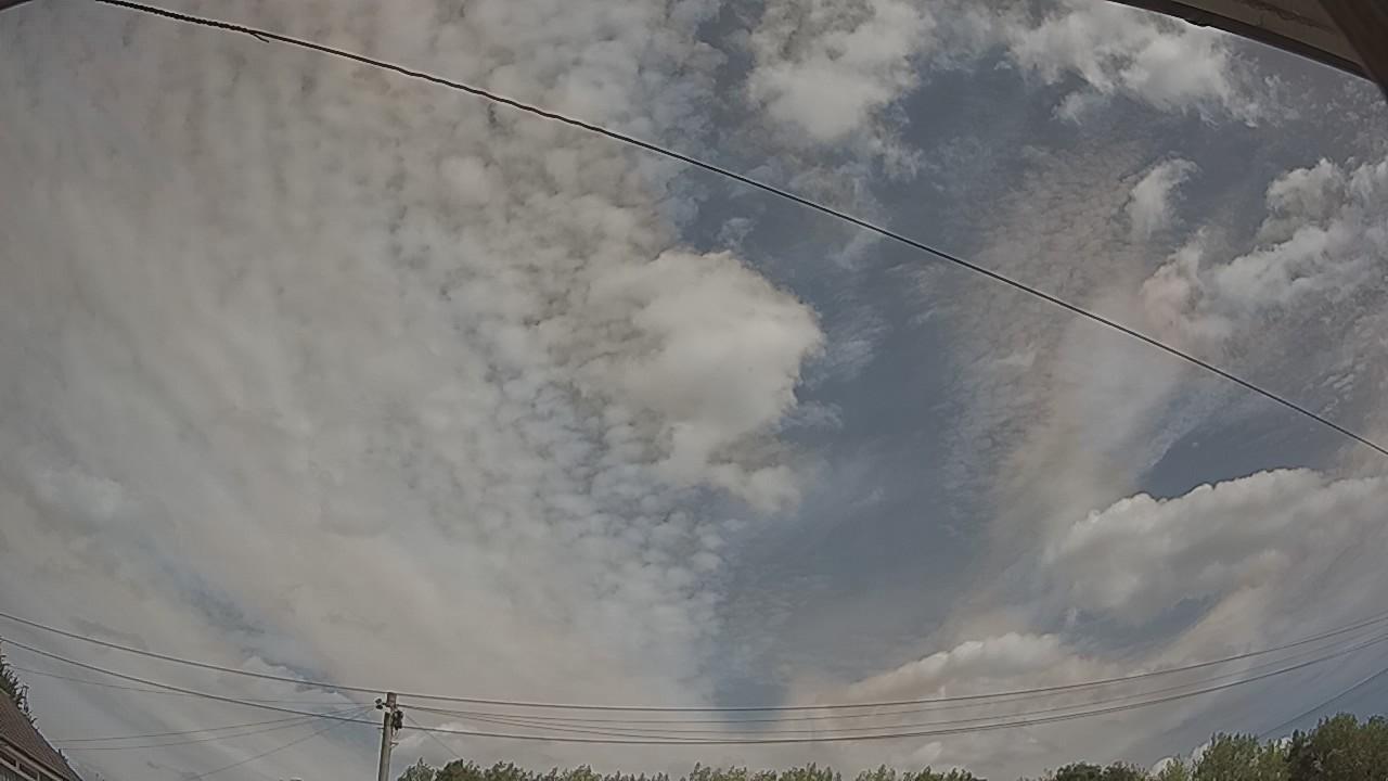 20260809_105230_cam2.jpg