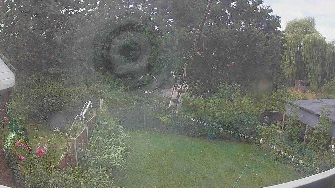 20260809_105638_cam1.jpg