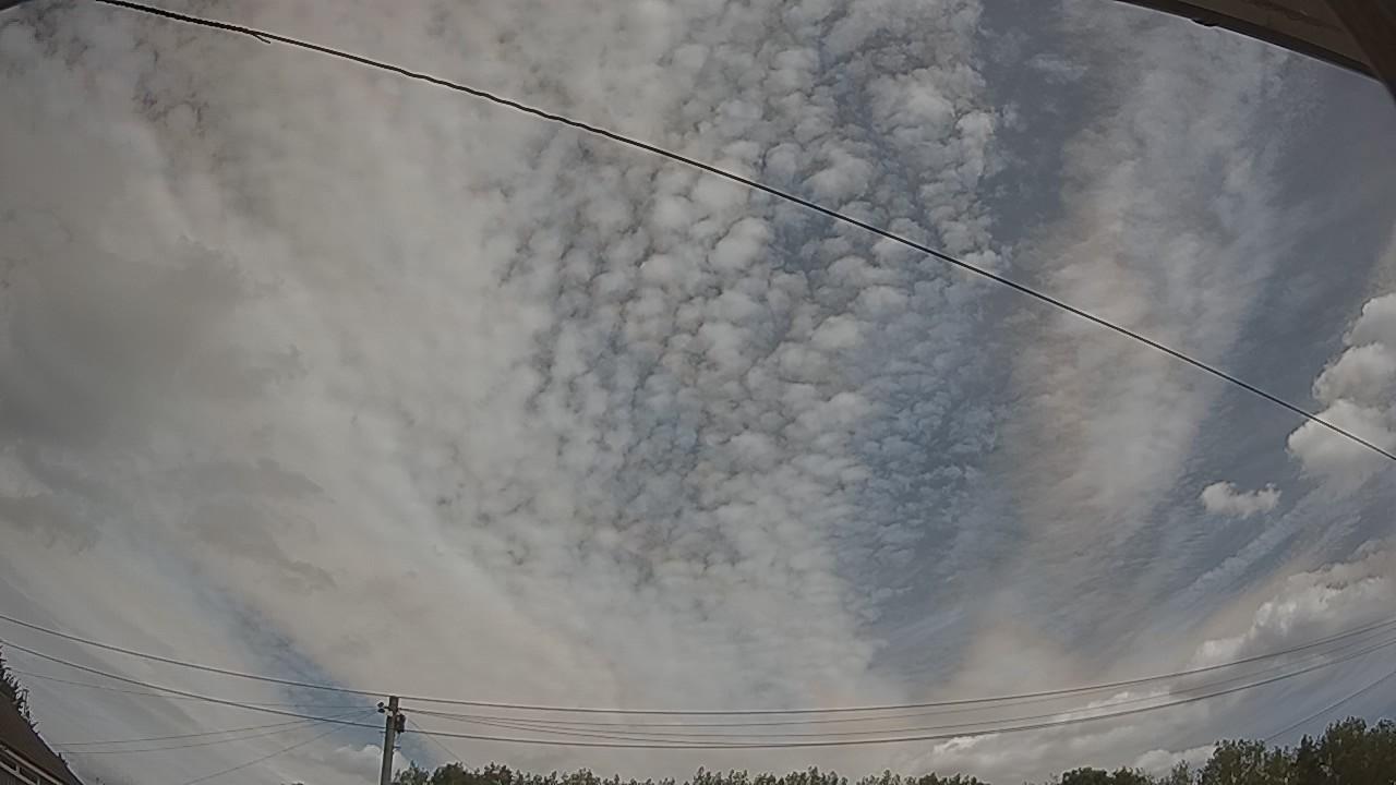 20260809_105639_cam2.jpg