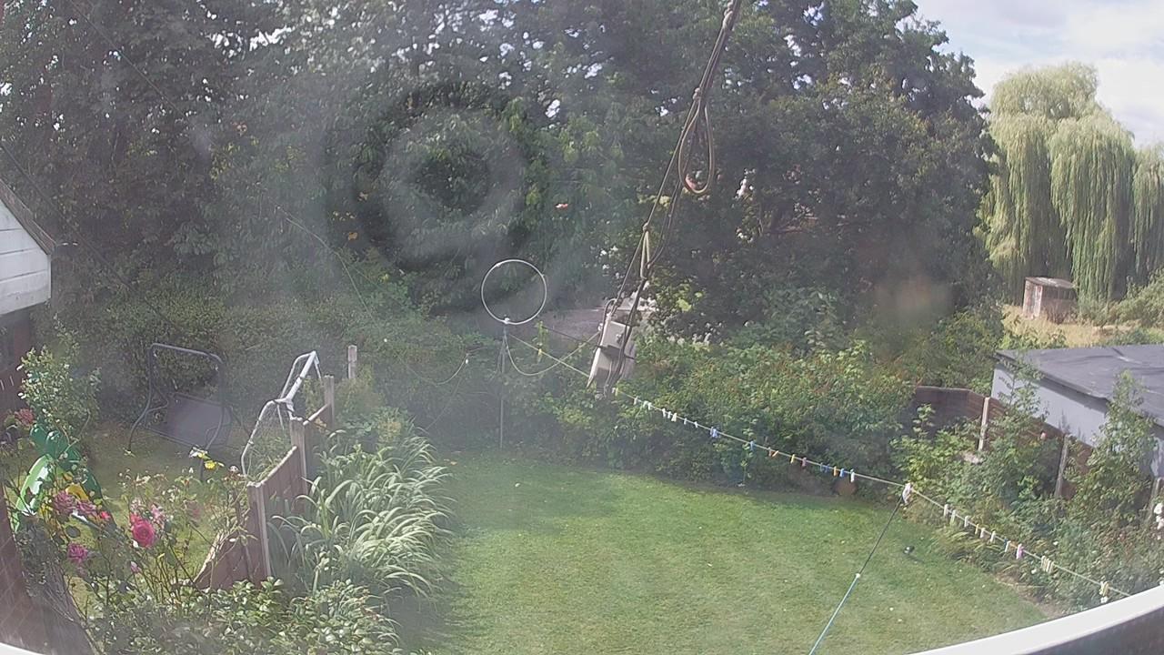 20260809_110020_cam1.jpg
