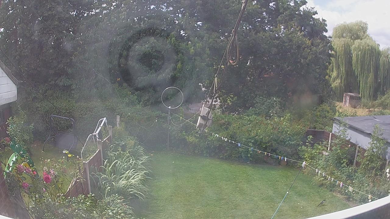 20260809_110403_cam1.jpg