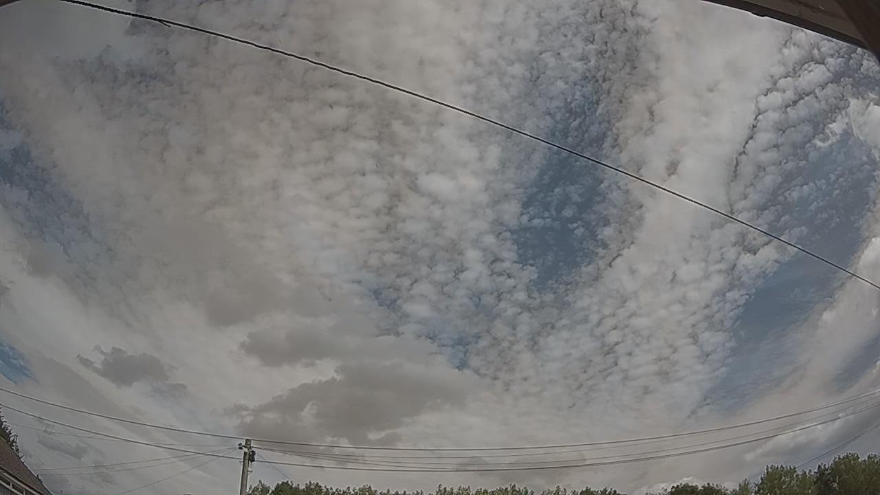 20260809_110404_cam2.jpg