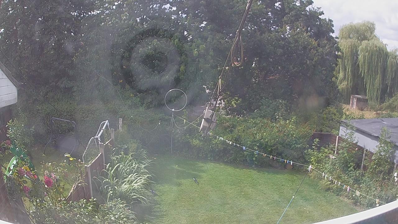 20260809_110745_cam1.jpg