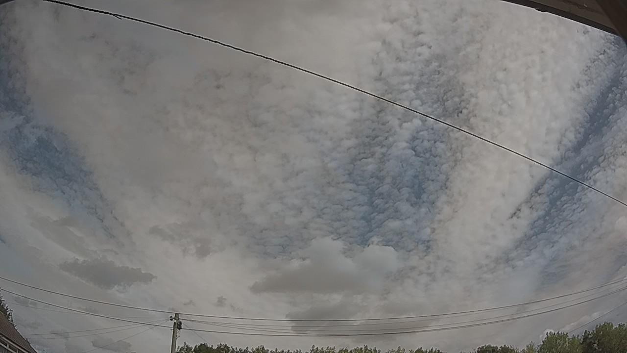 20260809_110746_cam2.jpg