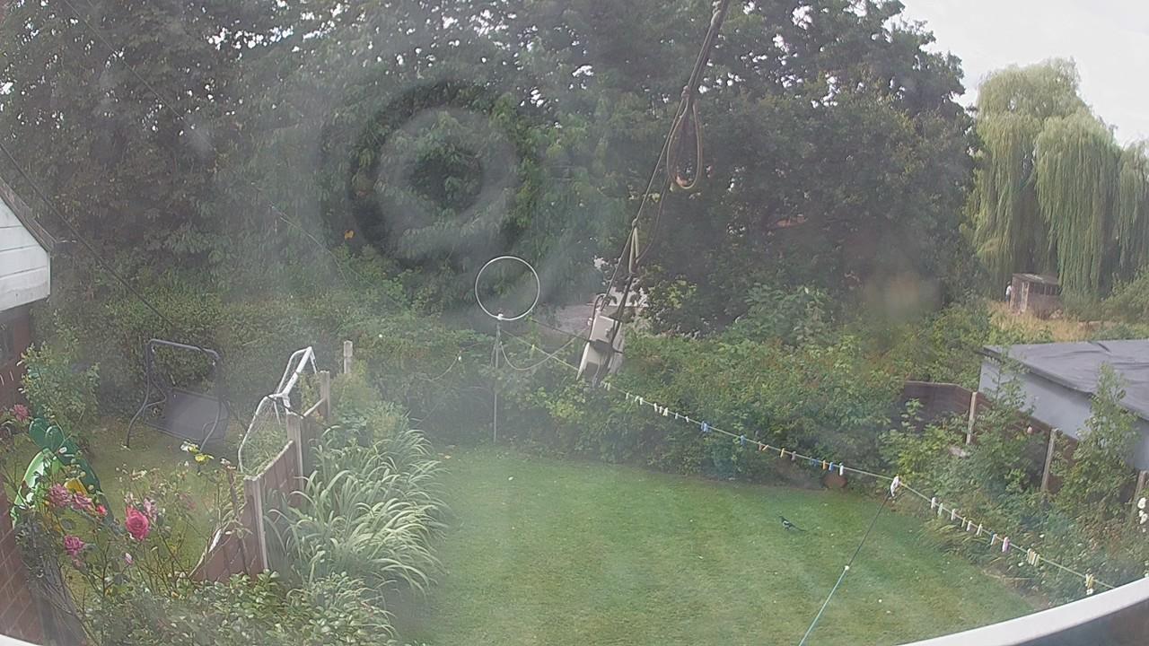 20260809_111510_cam1.jpg