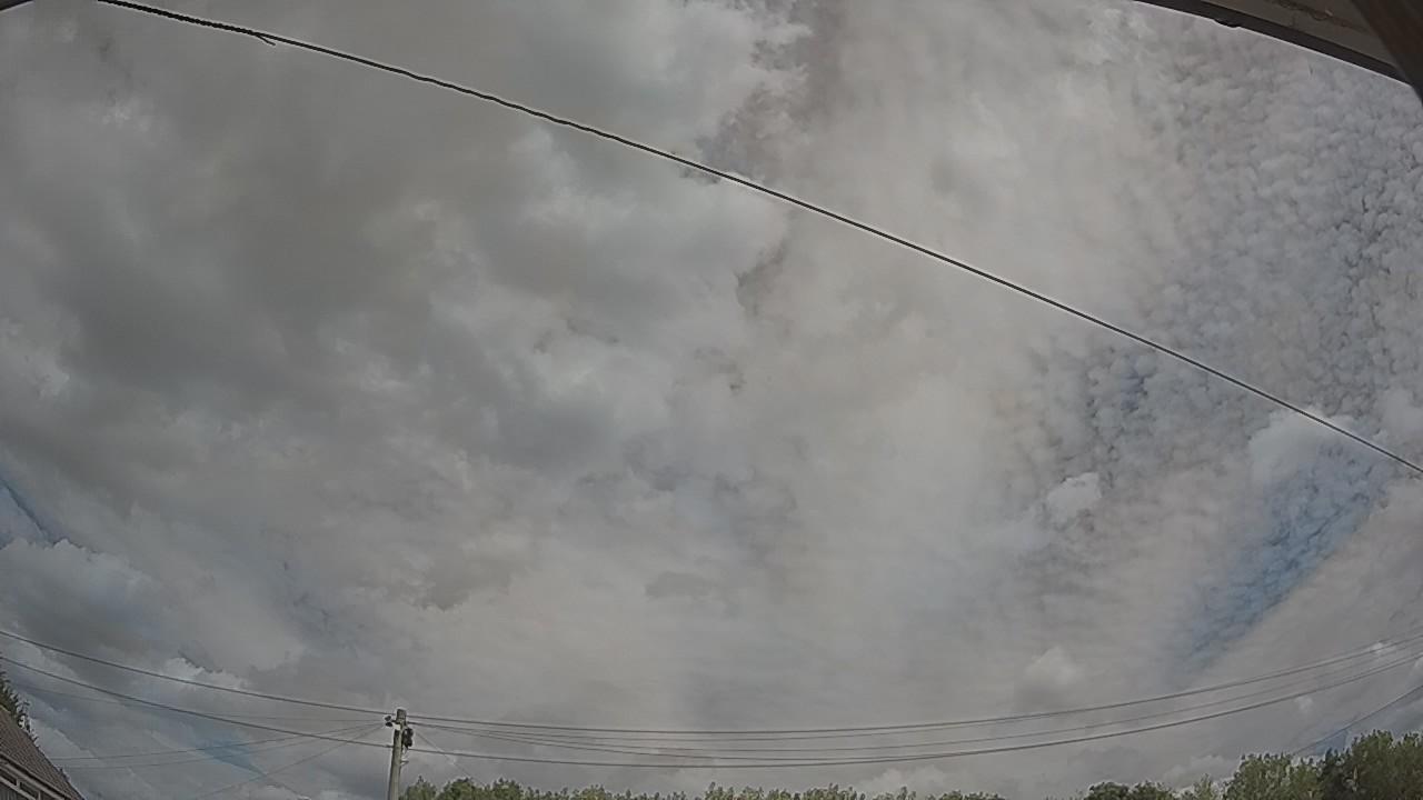 20260809_112235_cam2.jpg