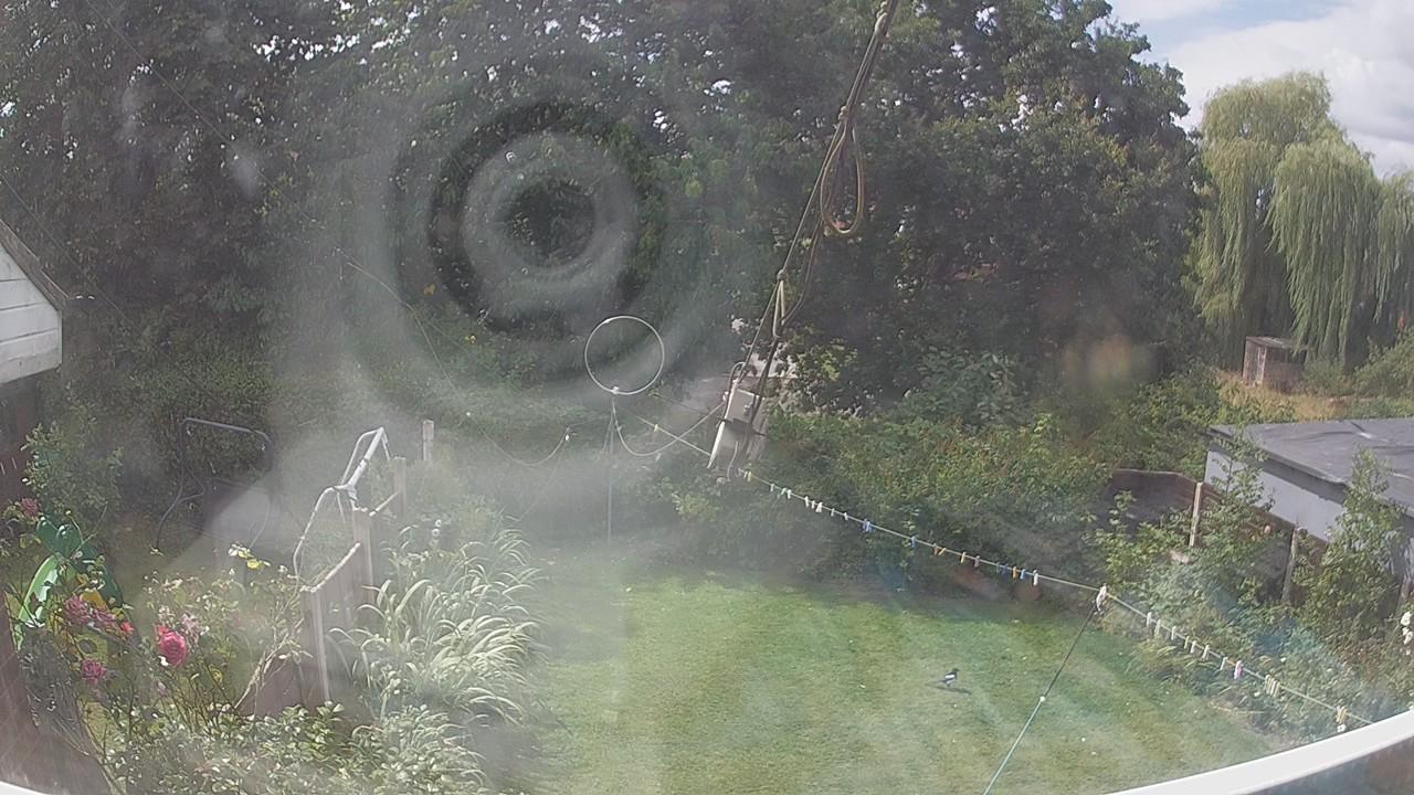 20260809_112617_cam1.jpg