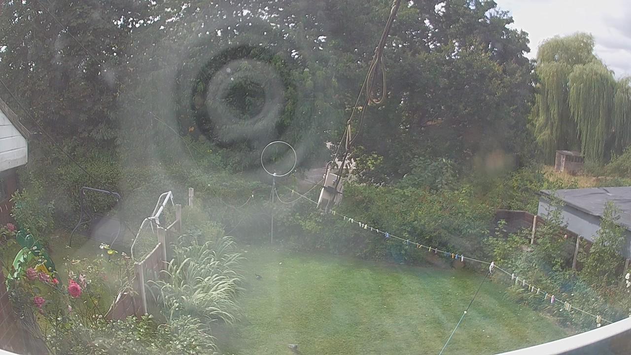 20260809_112950_cam1.jpg