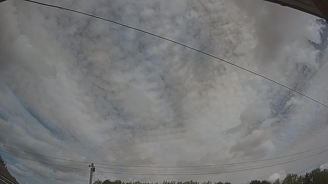 20260809_112951_cam2.jpg