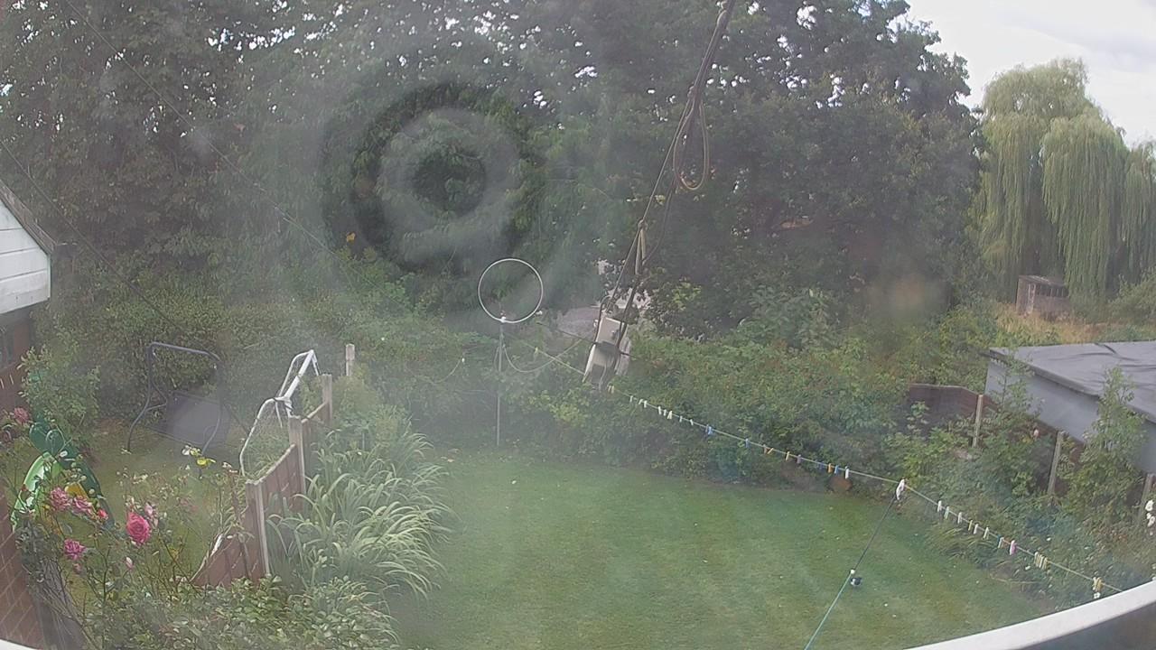 20260809_113323_cam1.jpg