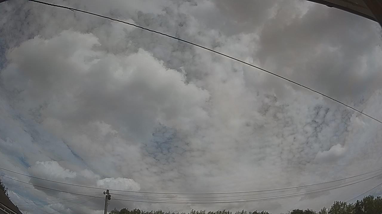 20260809_113324_cam2.jpg
