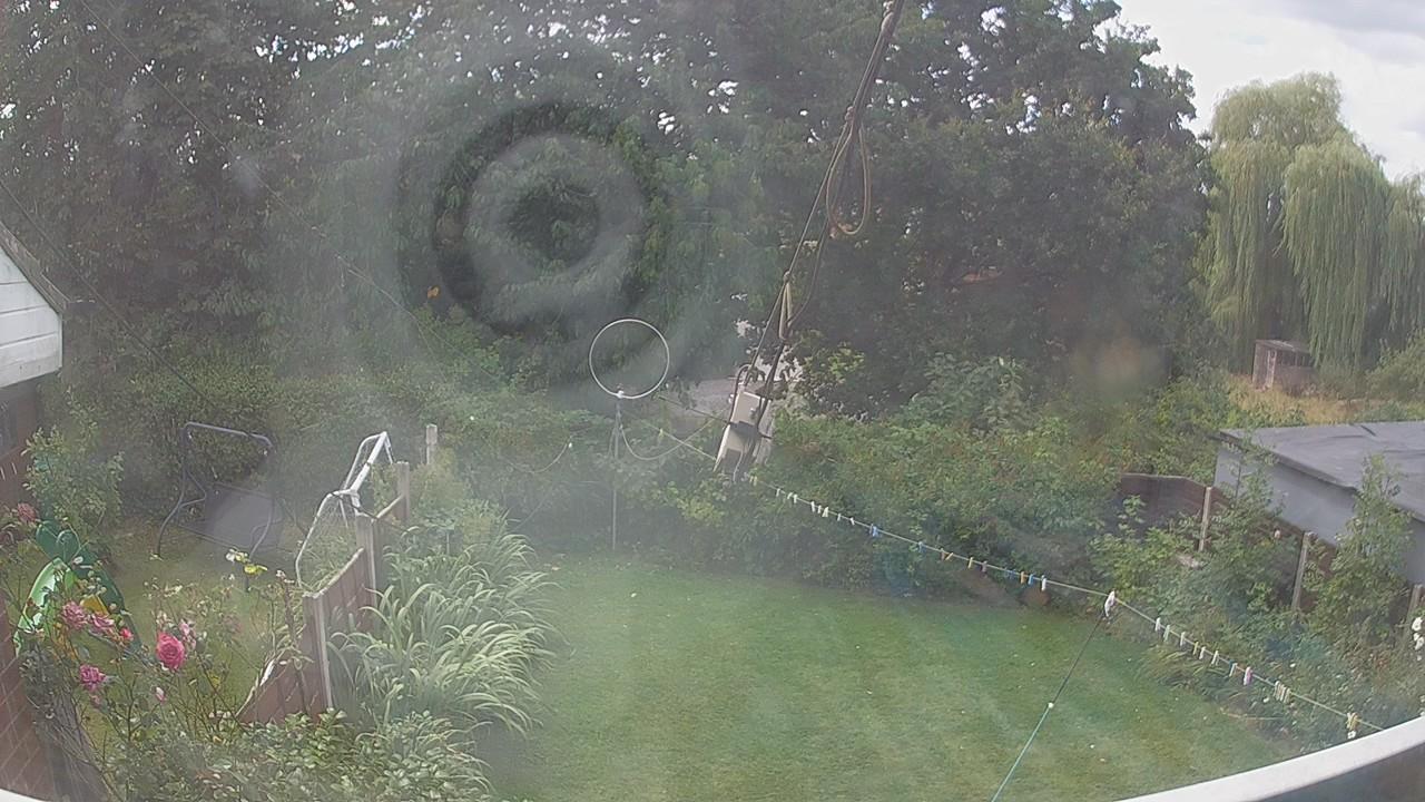 20260809_113656_cam1.jpg